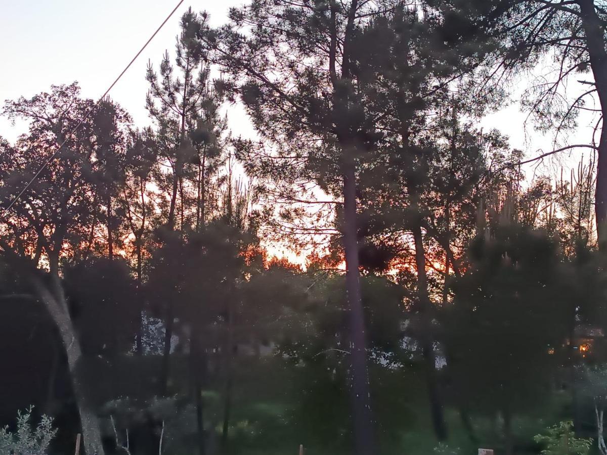 דירות Ouzenda Casa Virginia מראה חיצוני תמונה